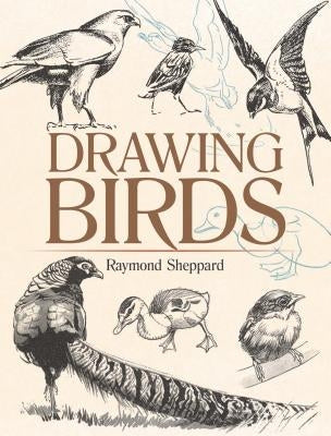 Drawing Birds Paperback Dover Publications