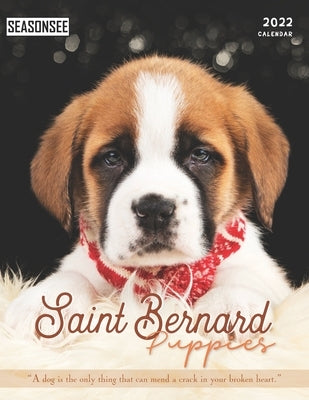 Saint Bernard Puppies Calendar 2022: Gifts for Friends and Family with 18-month Monthly Calendar in 8.5x11 inch Paperback Independently Published