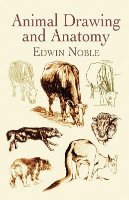 Animal Drawing and Anatomy Paperback Dover Publications