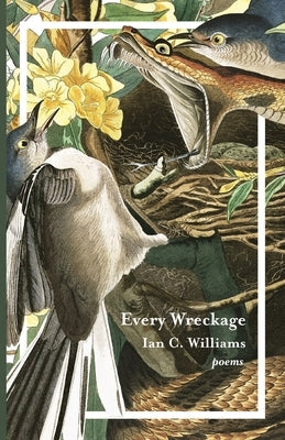 Every Wreckage: Poems Paperback Fernwood Press
