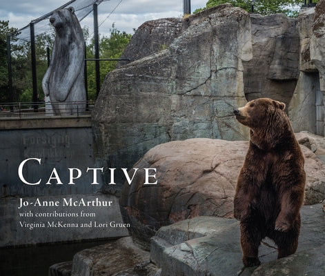 Captive Paperback Lantern Publishing & Media