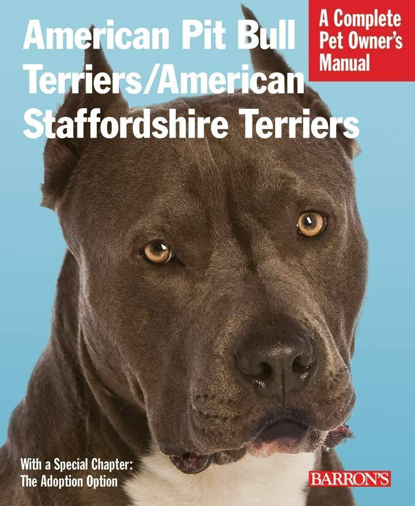 American Pit Bull Terriers-American Staffordshire Terriers: Ever Pets | Dogs | Breeds Stahlkuppe, Joe